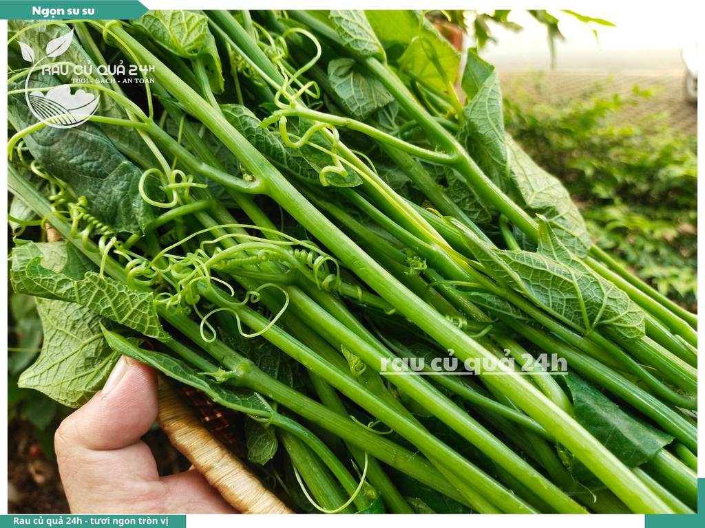 Ngọn su su khoảng 500g