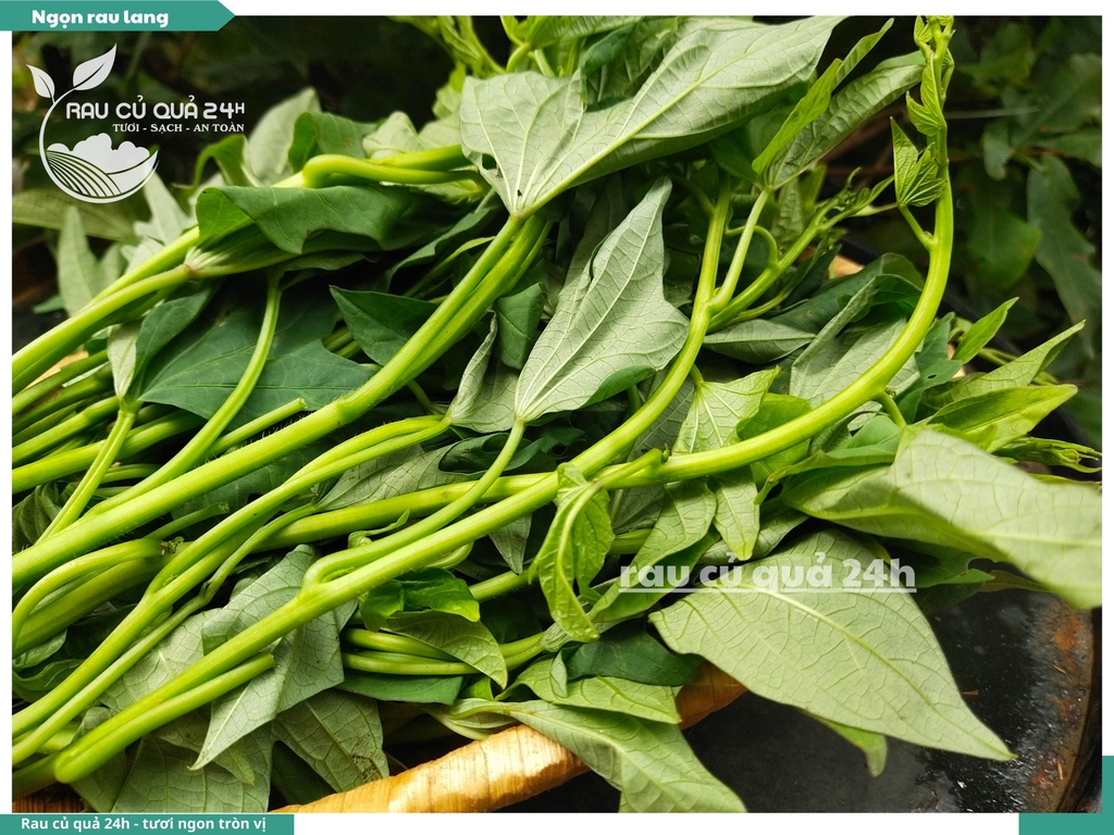 Ngọn rau lang - 400g