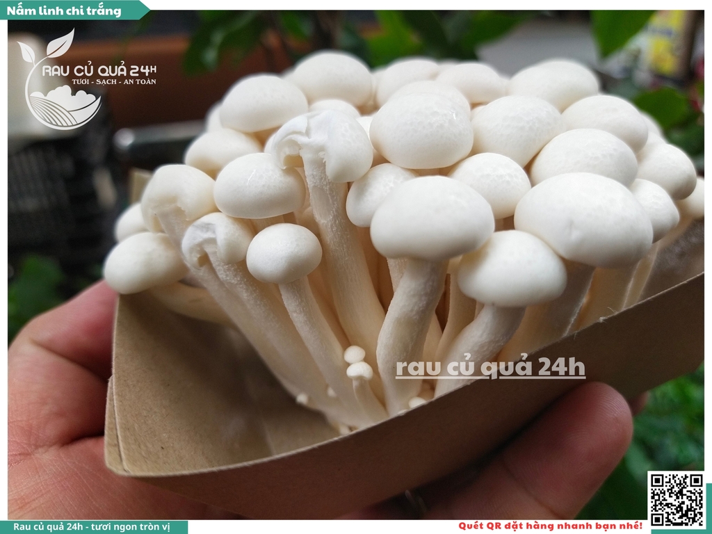 Nấm linh chi trắng - 175g