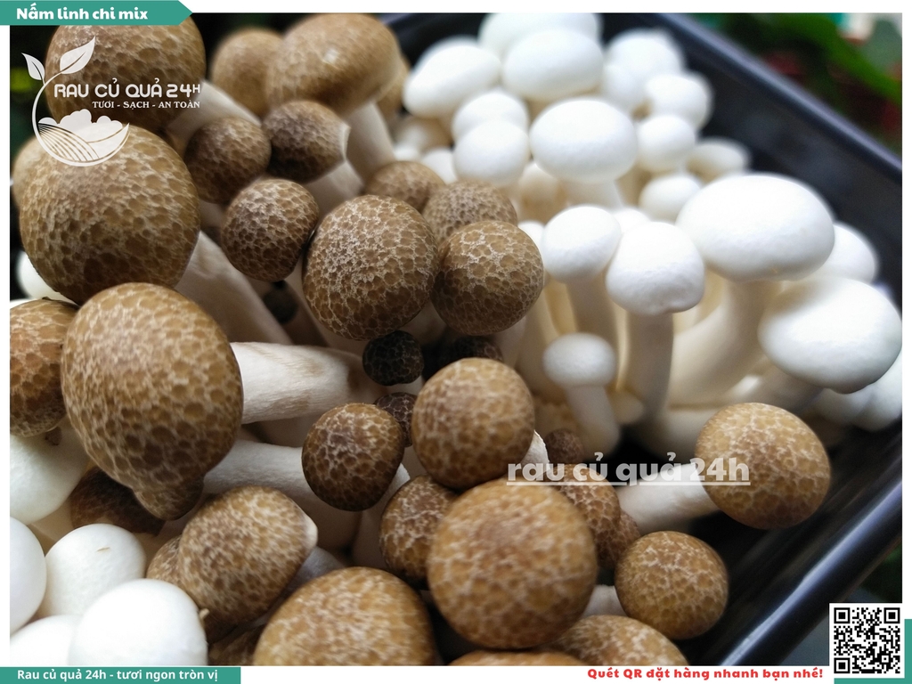 Nấm linh chi mix