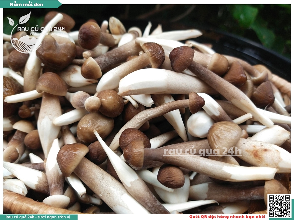 Nấm mối đen - 400g