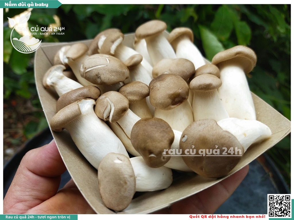 Nấm đùi gà baby khoảng 200g