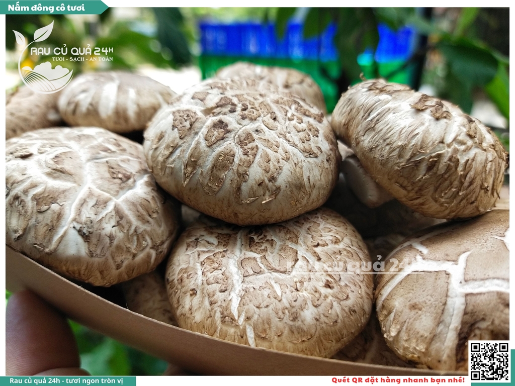 Nấm đông cô tươi khoảng 175g