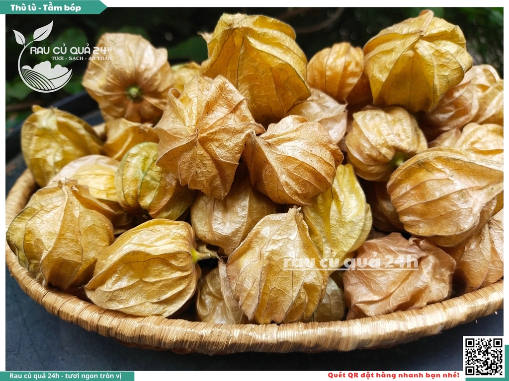 Thù lù - Tầm bóp Nam mỹ 300g