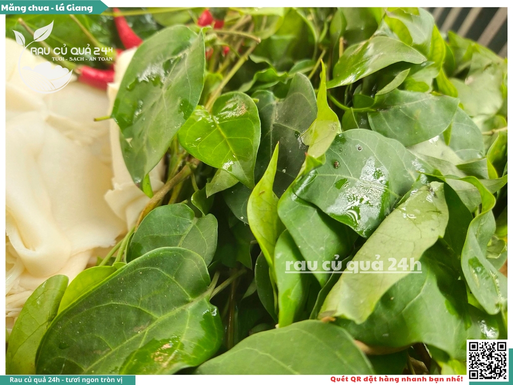 Combo măng chua - lá giang khoảng 300 - 400g