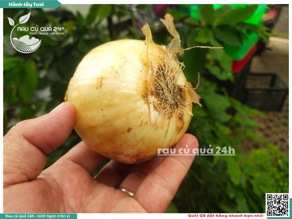 Củ Hành tây tươi Đà Lạt 300g