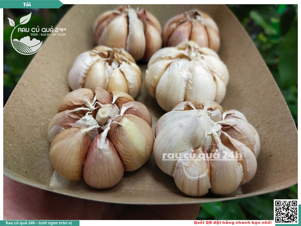 Củ Tỏi tép lớn khoảng 90g