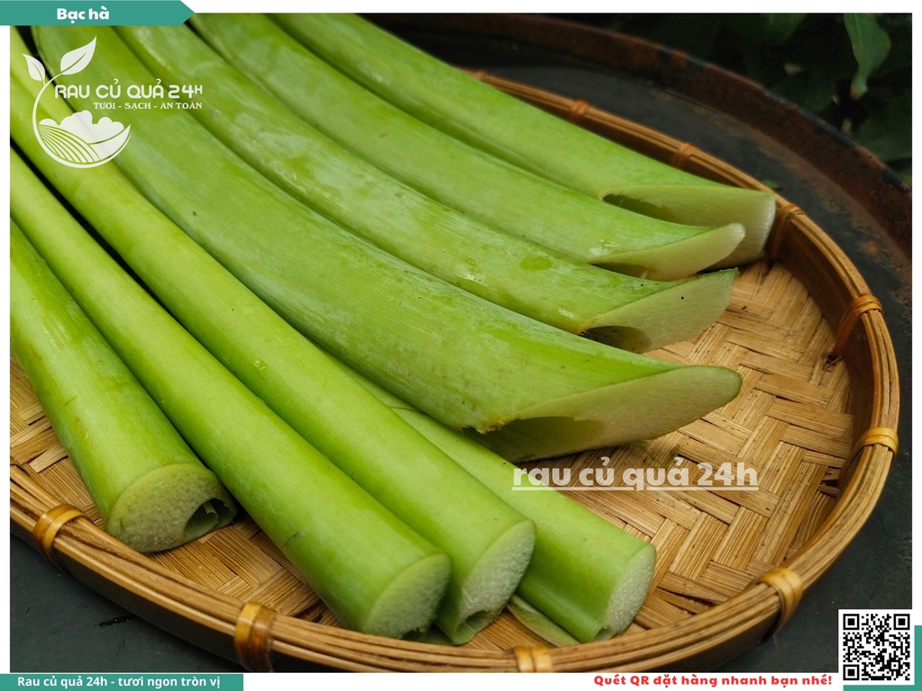 Bạc Hà - Dọc mùng 200g