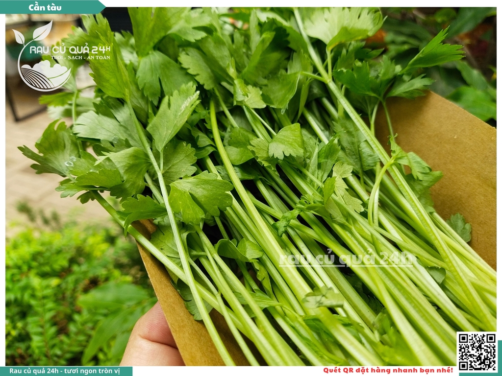 Rau nêm - Cần tàu 80g