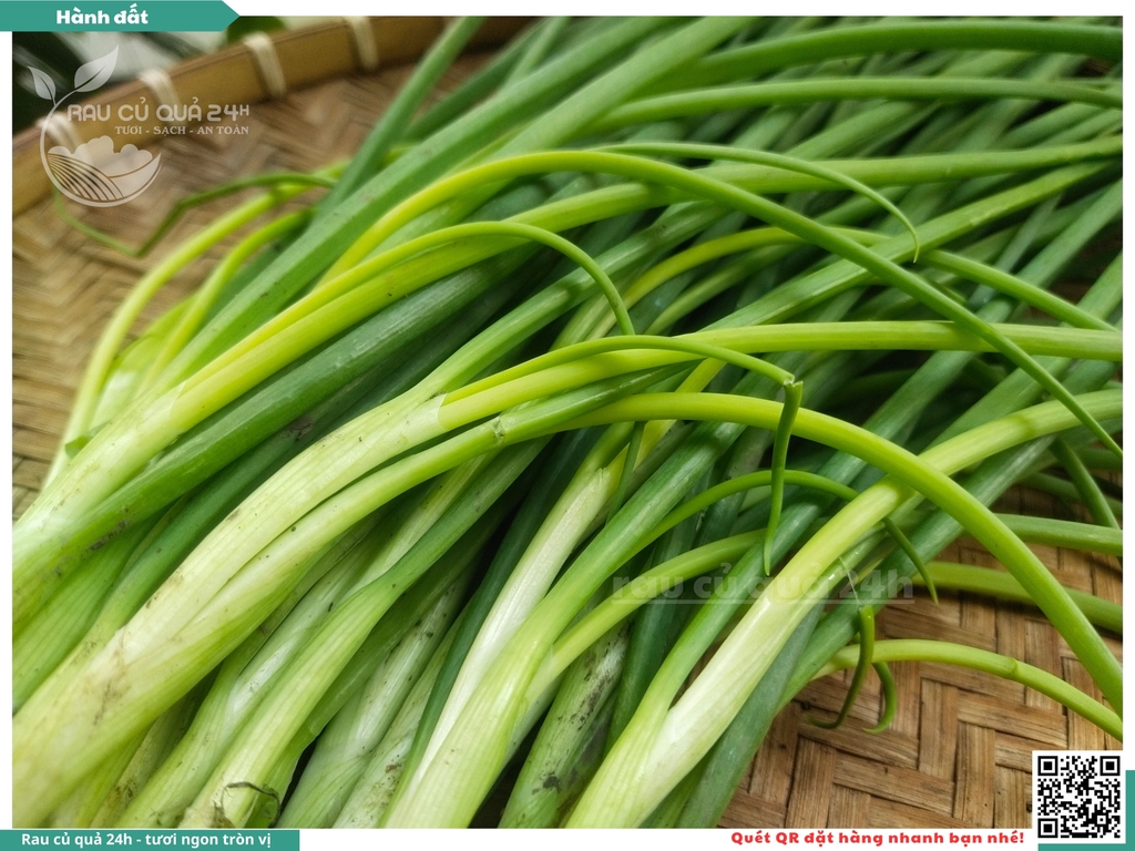 Rau nêm Hành Đất 500g