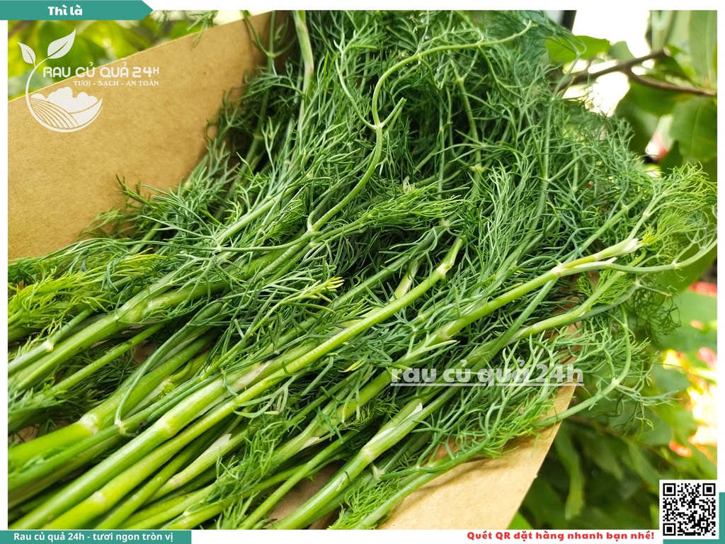 Rau nêm Rau Thì là 65g