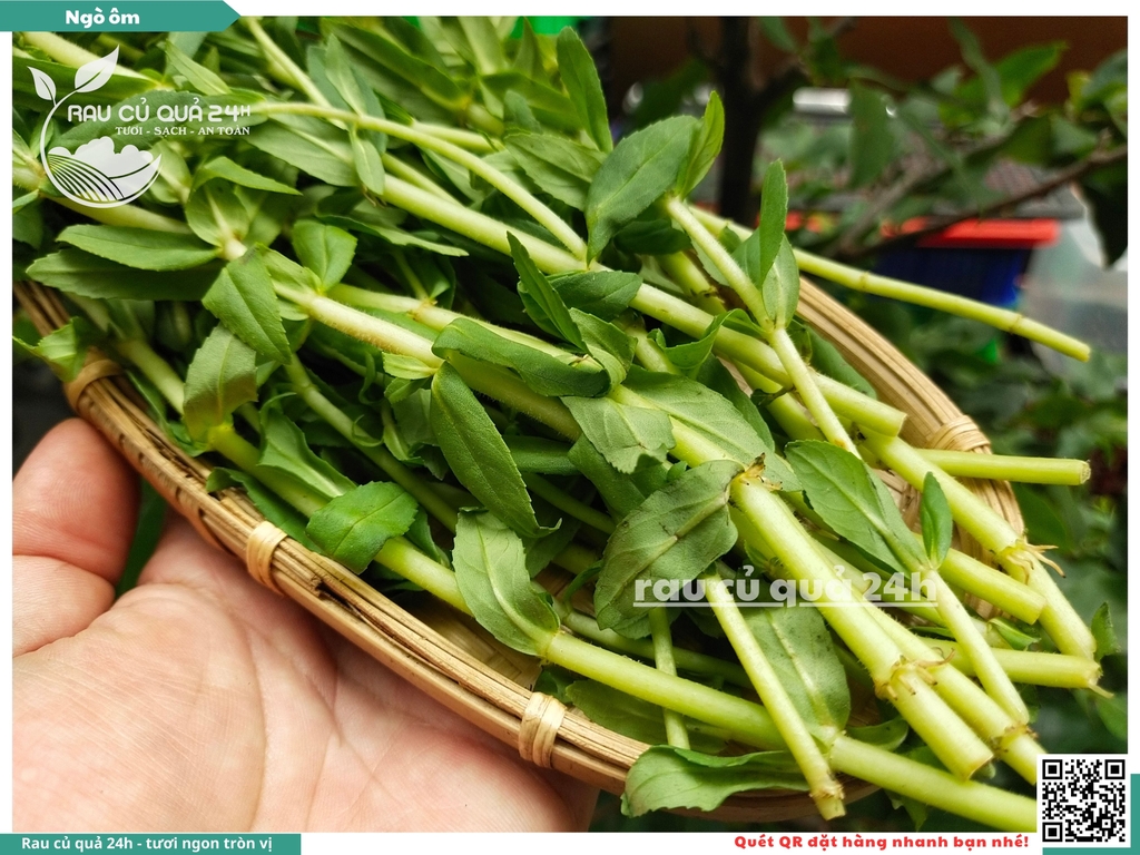 Rau nêm Ngò ôm 65g