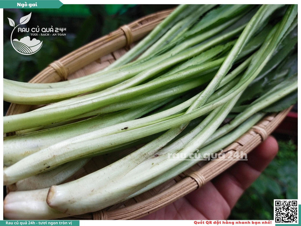 Rau nêm Ngò gai 65g