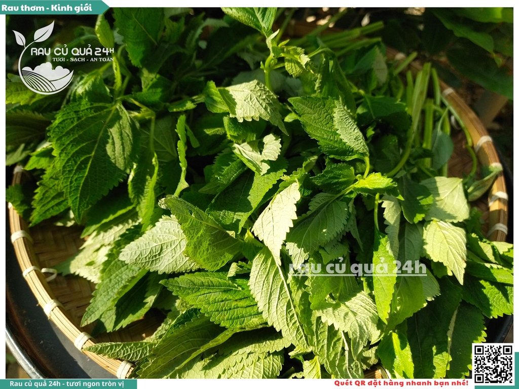 Rau thơm - Kinh giới 65g