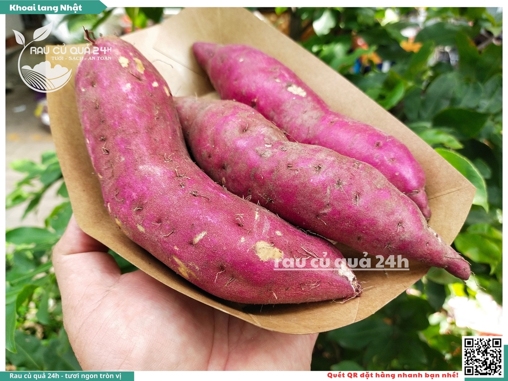 Khoai lang Nhật