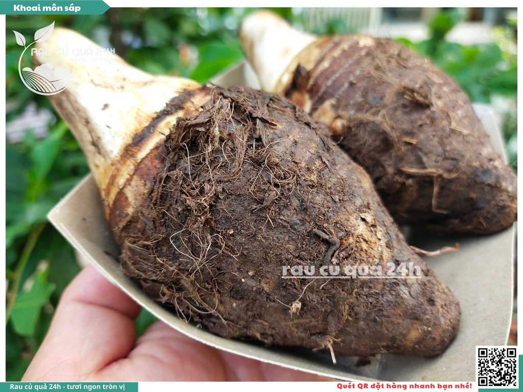 Khoai môn sáp Đà Lạt