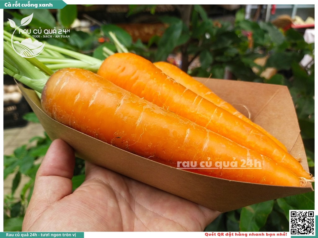 Cà rốt cuống xanh khoảng 1kg