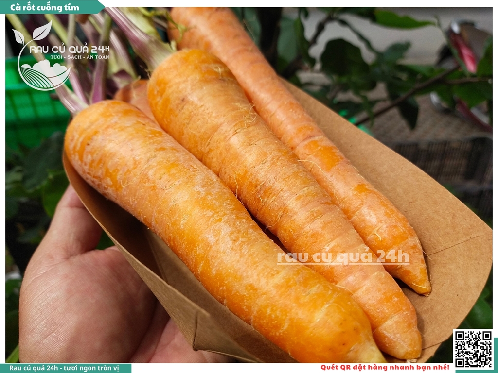 Cà rốt cuống tím khoảng 1kg