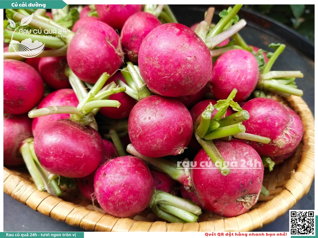 Củ cải đường