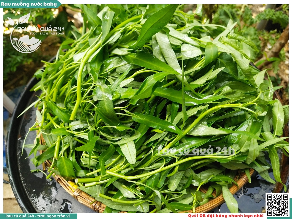 Rau muống nước baby khoảng 300g