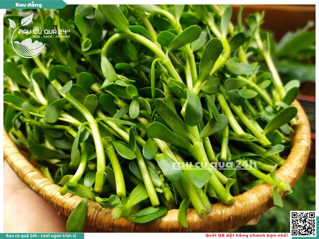 Rau đắng khoảng 250gr