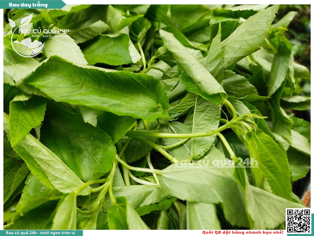 Rau đay trắng khoảng 300g