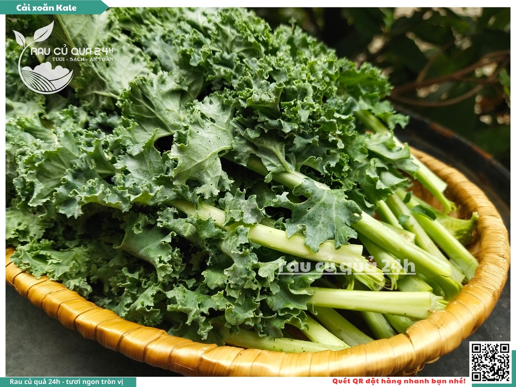 Rau Cải xoăn Kale