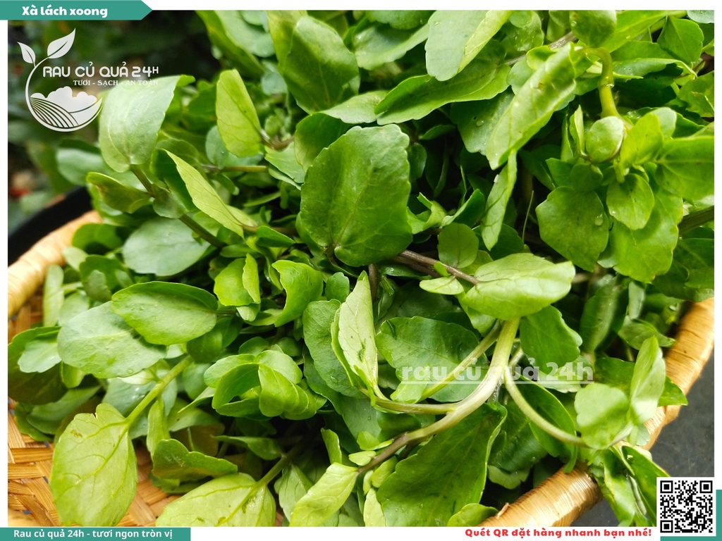 Rau Xà lách xoong Đà Lạt - 400g