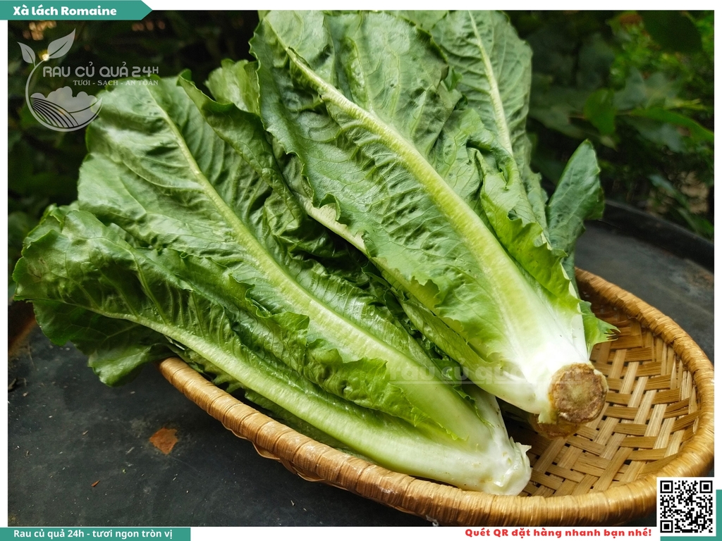Xà lách Romaine - 250g