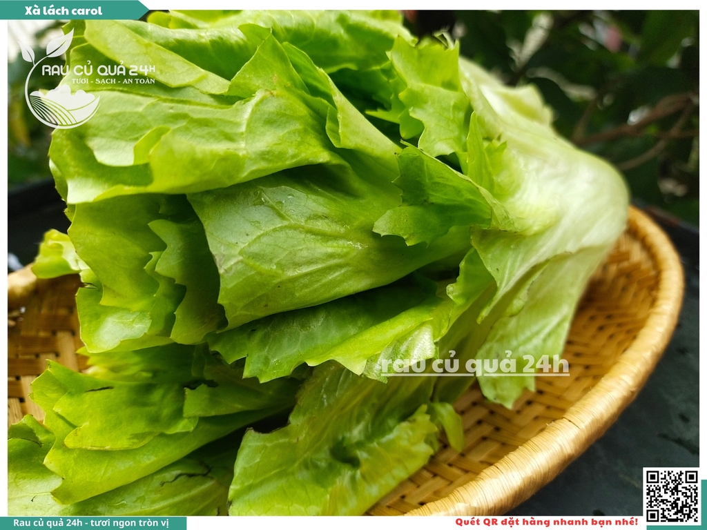 Xà lách Carol - Khoảng 300g
