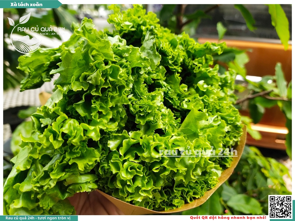 Xà lách Gai - 250g