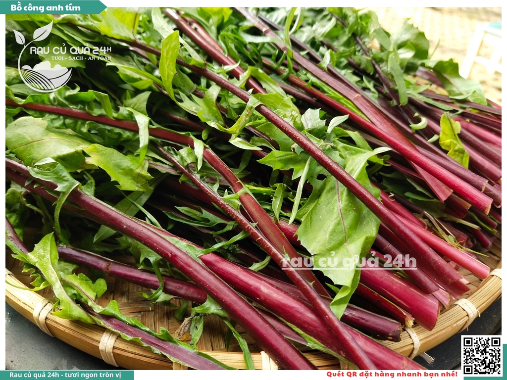 Rau Bồ Công Anh Tím khoảng 250g