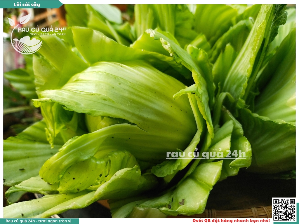 Cải sậy - cải muối dưa sơ chế
