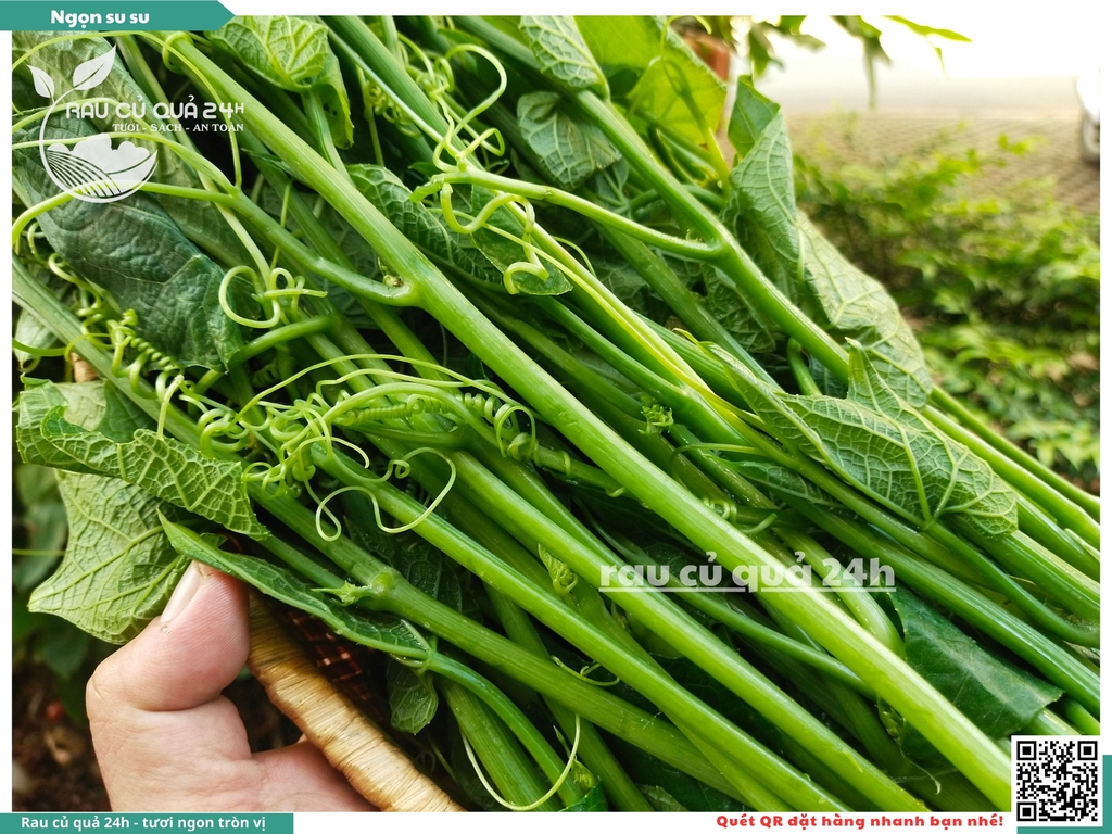 Ngọn su su khoảng 500g