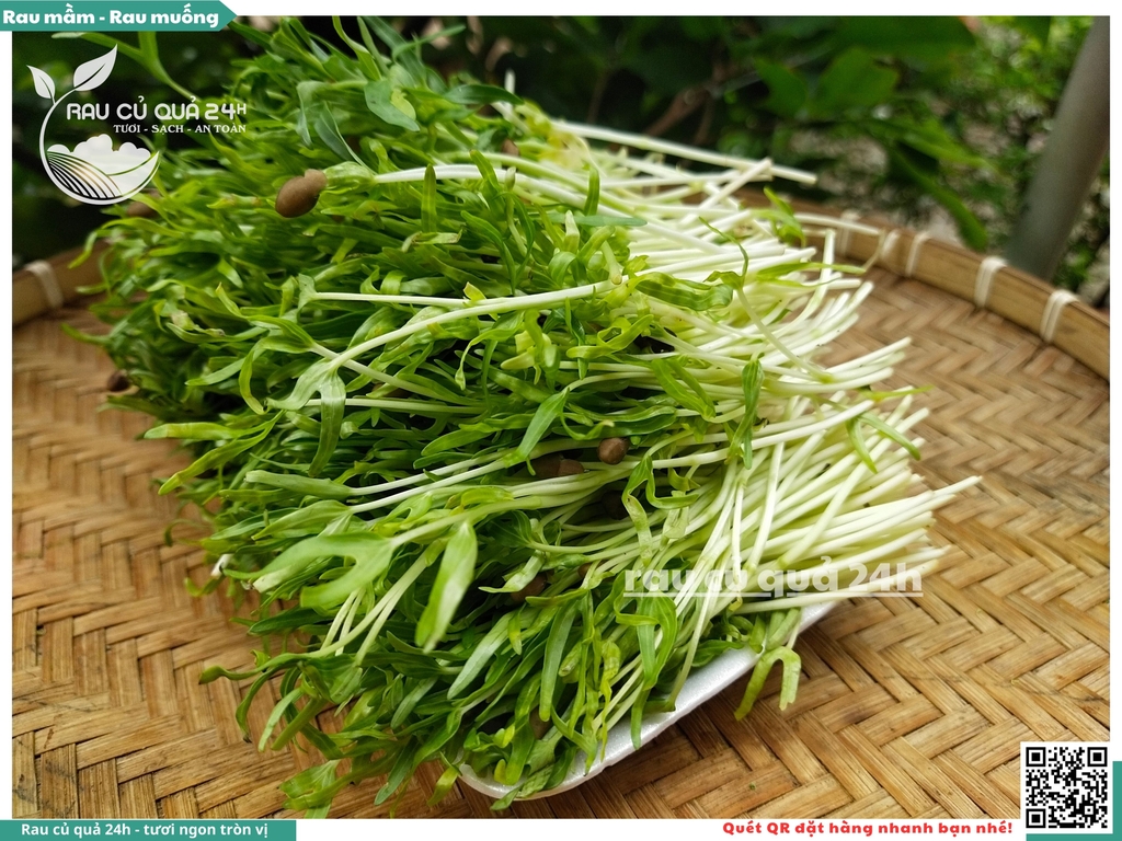 Mầm rau muống hạt khoảng 250g