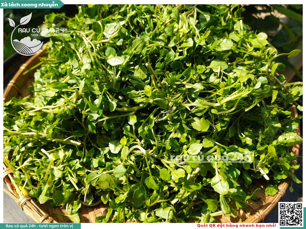 Rau xà lách xoong nhỏ (xoong nhuyễn) khoảng 250g