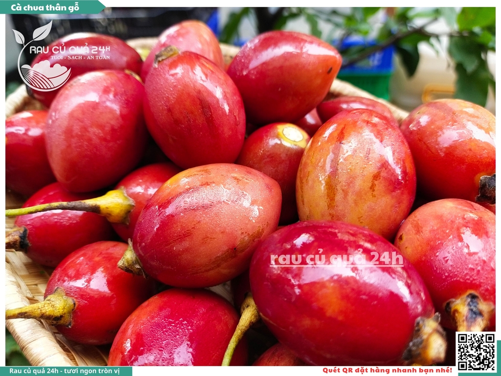 Cà chua thân gỗ hộp 500g