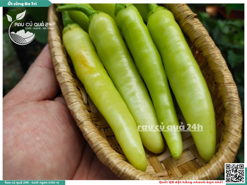 Ớt sừng Ba tri 45g