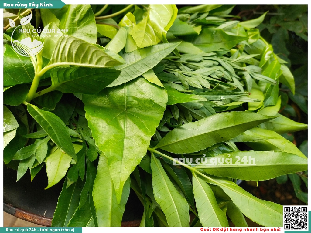 Rau rừng Tây Ninh khoảng 250g