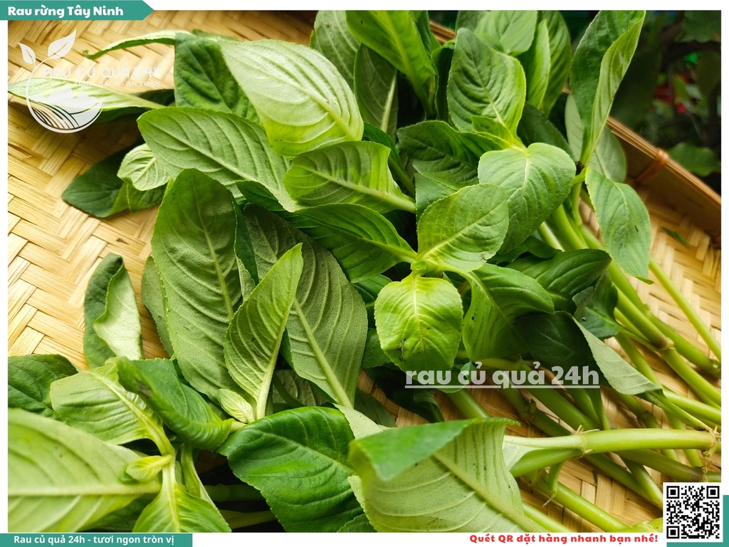 Cây Xá xị 300g