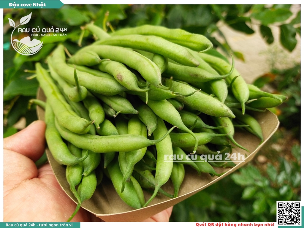 Quả Đậu Cove Nhật - 400g