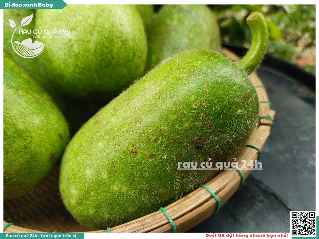 Quả Bí đao xanh baby - 2 trái