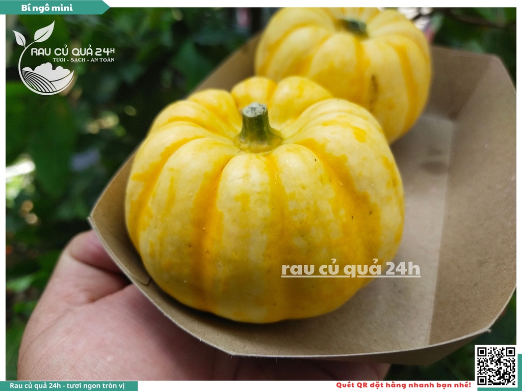 Bí ngô mini vàng 1 quả khoảng 200g