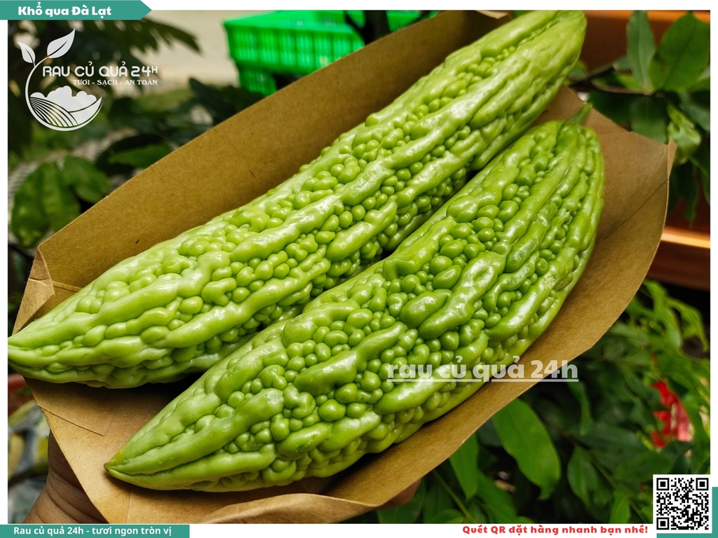 Quả Khổ qua Đà Lạt - 3 quả
