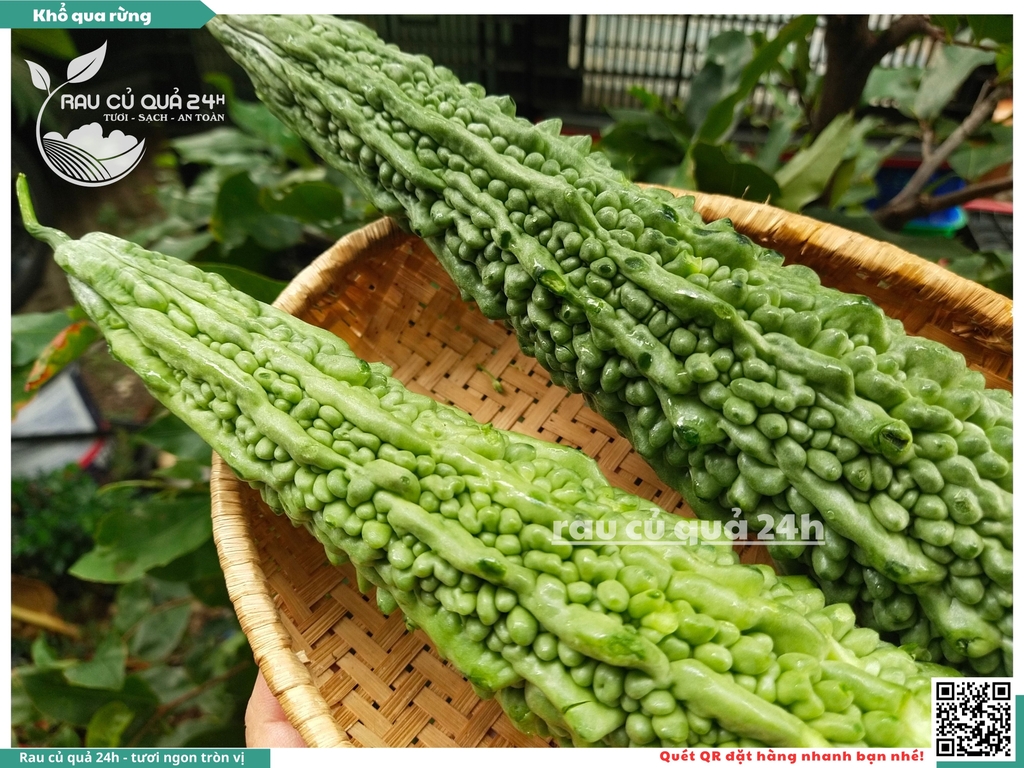 Quả Khổ qua rừng - 2 quả