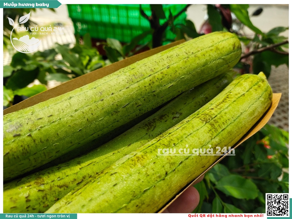 Mướp hương baby - 400g