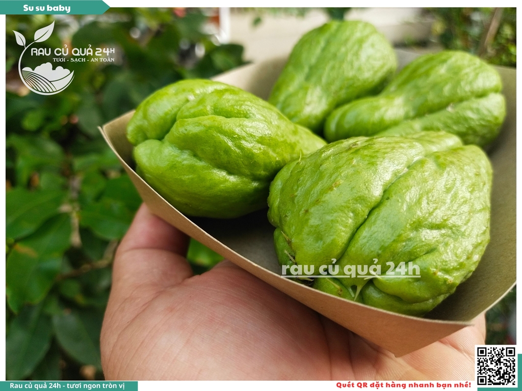 Quả su su baby - 300g