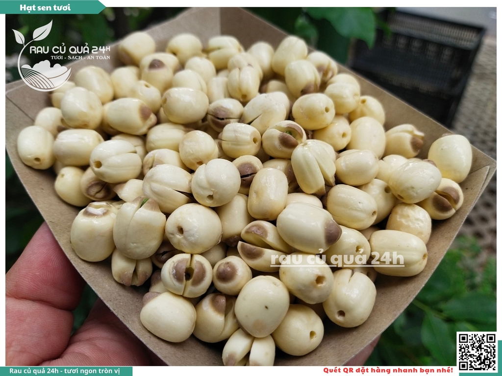 Hạt sen tươi - 100g