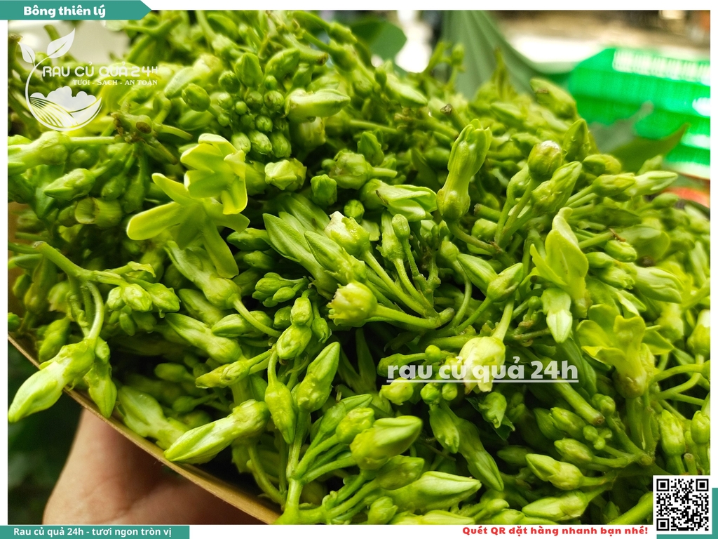 Bông thiên lý 250g