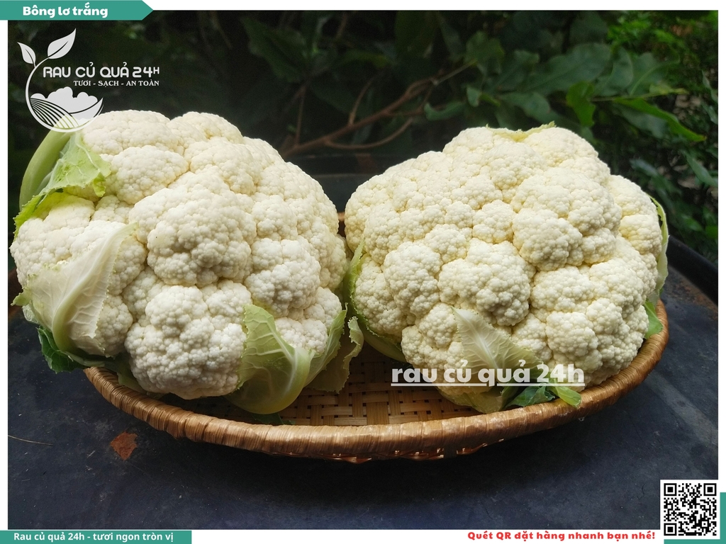 Bông lơ trắng 1 bông